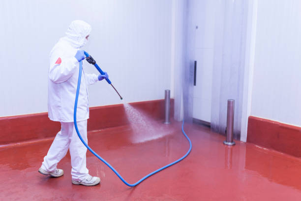 Best Playground Equipment Cleaning  in Englewood, CO
